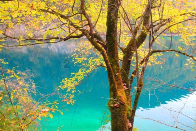 守护飞行城堡